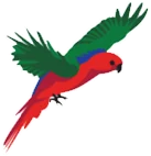 Benowa State School logo