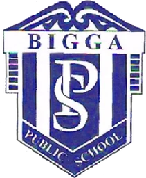 Bigga Public School logo