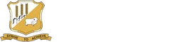 Binnu Primary School logo