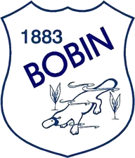 Bobin Public School logo