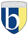 Bremer State High School logo