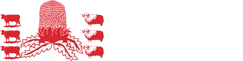 Condingup Primary School logo
