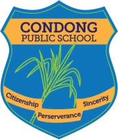 Condong Public School logo
