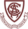 Cummins Area School logo