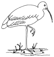 Depot Hill State School logo