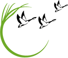 Grand Avenue State School logo