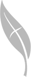 Kalamunda Christian School logo