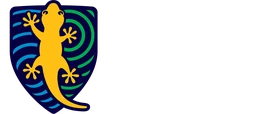 Kilkenny Primary School logo