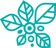 Mackay District Special School logo