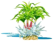 Mutarnee State School logo