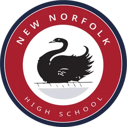New Norfolk High School logo