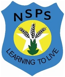 North Star Public School logo