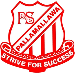 Pallamallawa Public School logo