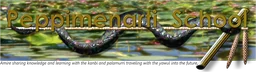 Peppimenarti School logo