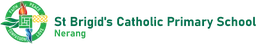 St Brigid's Catholic Primary School (Nerang) logo