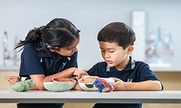 The Heights School logo