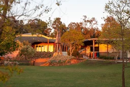The Silver Tree Steiner School logo