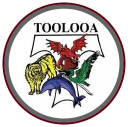 Toolooa State High School logo