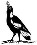 Towamba Public School logo