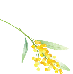 Wendouree Primary School logo