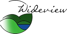 Wideview Public School logo