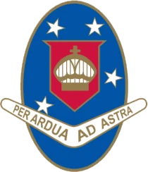Young High School logo